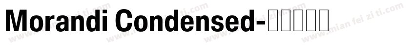 Morandi Condensed字体转换